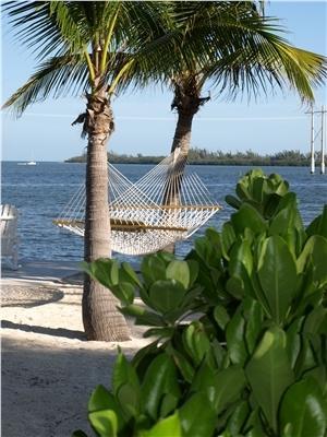 Banana Bay Resort (Adults Only) Key West Exteriér fotografie